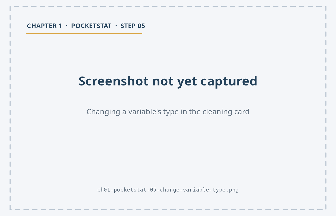 The PocketStat cleaning card with a variable selected and its type being changed.