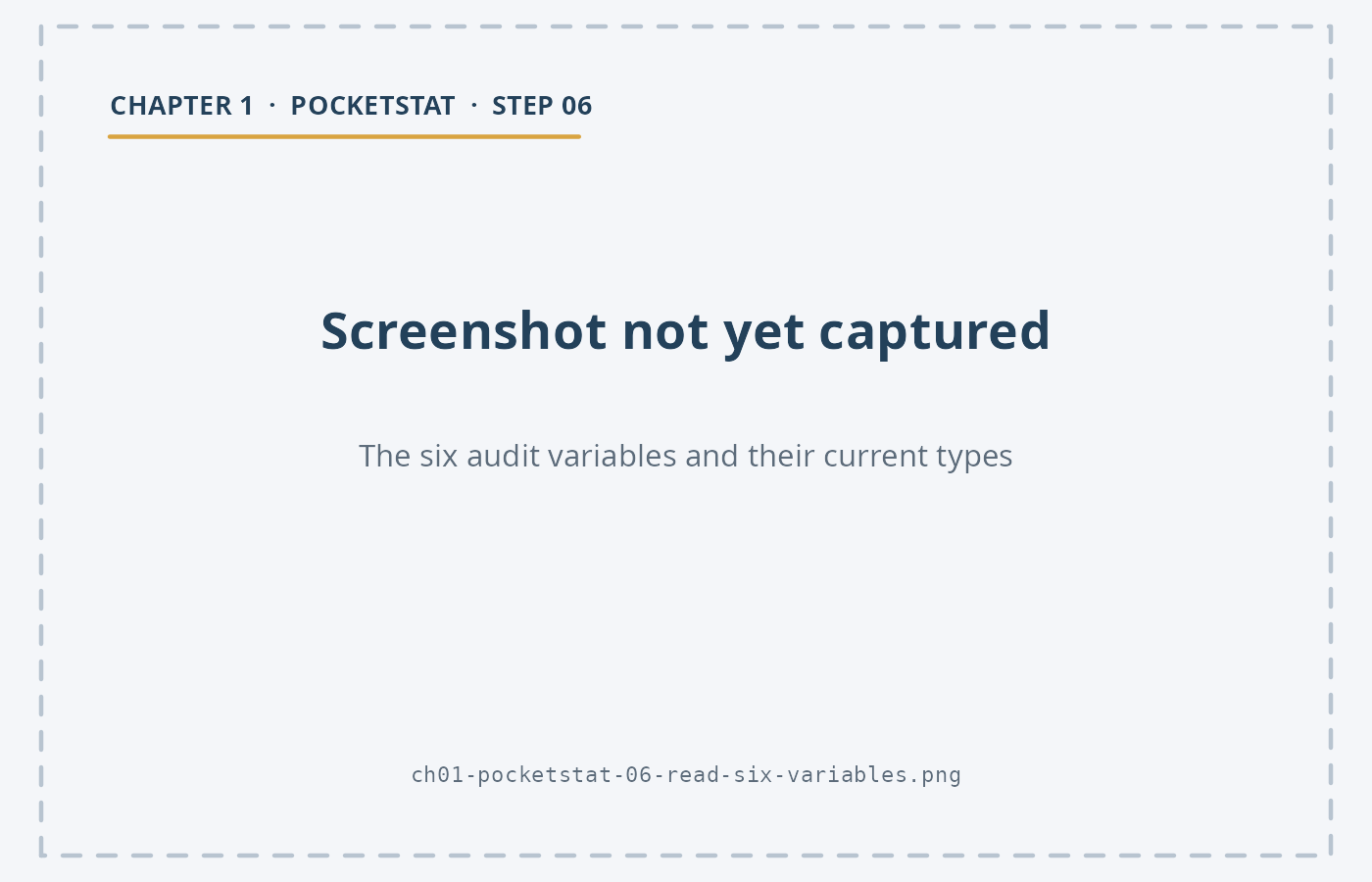 The PocketStat variables card scrolled to Gender, Region, Ticket_Type, Age, Satisfaction and Waiting_Time_Mins, each with its detected type.